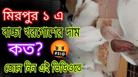 বাচ্চা খরগোশের দাম। খরগোশের দাম।খরগোশ ক্রয়। Rabbit Lover Bd Youtube