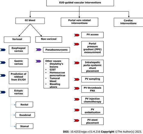 Endoscopic Ultrasound Guided Vascular Interventions An Expanding Paradigm