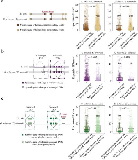 Antagonistic Impact Of TAD Stabilization And Genomic Arrangements On