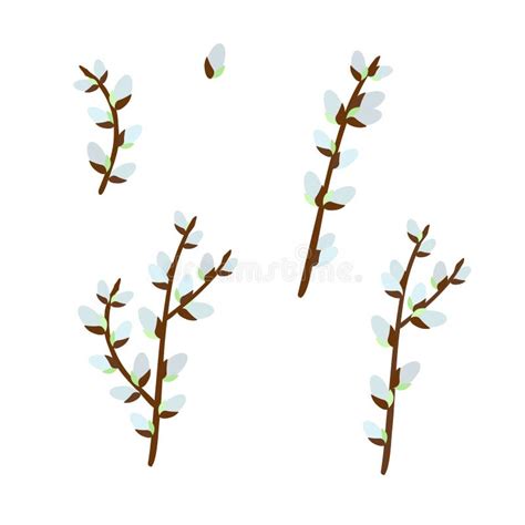 Pussy Willow Vector Stock Illustrations 969 Pussy Willow Vector Stock Illustrations Vectors