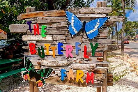 The Butterfly Farm Aruba