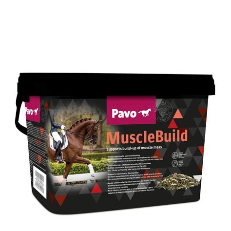 Pavo Muscle Build Kg De Paardendrogist