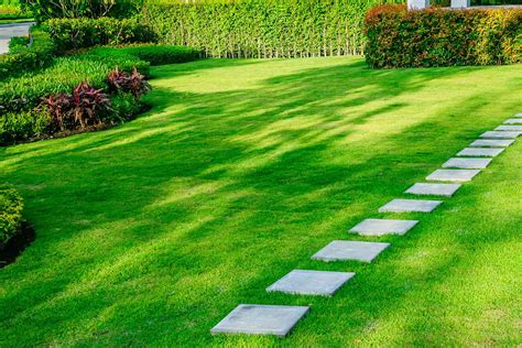 2023 Trugreen Cost — Average Lawn Care Plan Prices