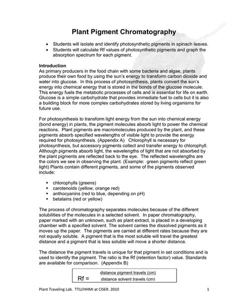 Plant Pigment Paper Chromatography