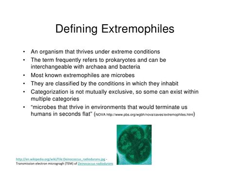 Extremophiles