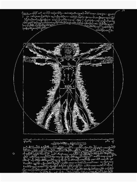 The Vitruvian Man Leonardo Da Vinci Classic Poster For Sale By