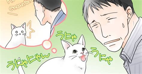 【びっくりハプニング】猫に外国語で話しかけたら 「あんたしゃべれるじゃない！」と甘えてくるように（12 ページ） ねとらぼ