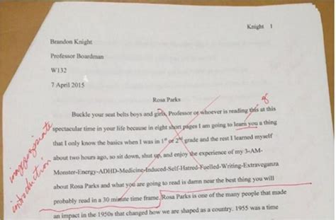 How to start an essay : funny