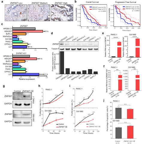 Cell Discovery ∣ Integrated Single Cell Multiomics Analysis Reveals