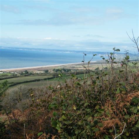 Dorset Group Oct Abbotsbury And Chesil Beach Gay Outdoor Club