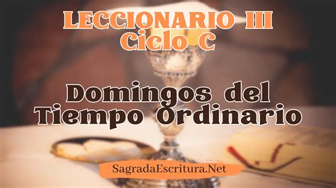 Domingos Del Tiempo Ordinario Ciclo C Sagrada Escritura