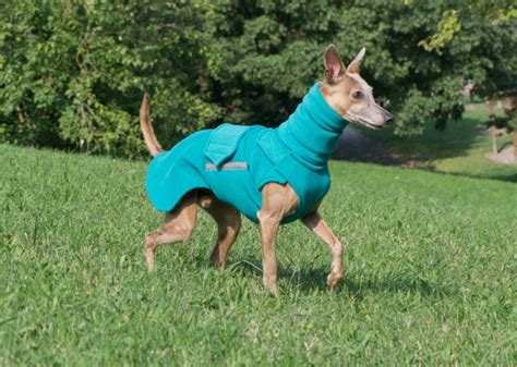 Greyhoundwhippet Fleece Dog Coat With Neck Warmer Made To Order