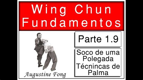 Curso Completo De Wing Chun 01 Fundamentos 09 Soco De Uma Polegada