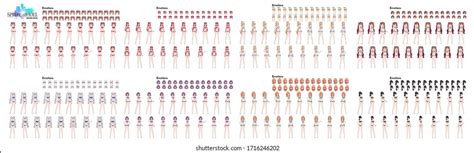 Anime girl bikini 1 7 nghìn ảnh hình ảnh có sẵn và ảnh miễn phí bản quyền Shutterstock