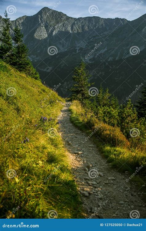 A Beautiful Hiking Trail In The Mountains Mountain Landscape In Tatry