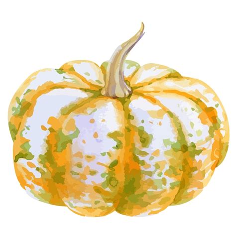 Ilustraci N Acuarela Vectorial De Calabaza Vector Premium