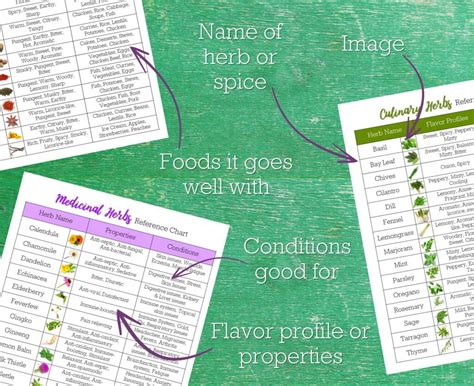 Herbs And Spices Reference Charts ⋆ Holistic Lifestyle Guide