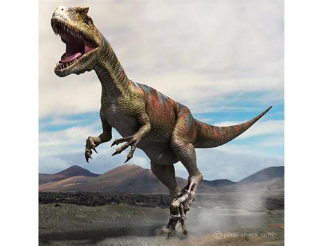 Terre Les Cinq Plus Grandes Extinctions Massives