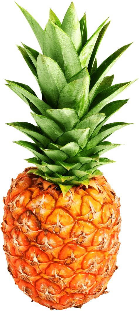 Pineapple Png Images Transparent Free Download