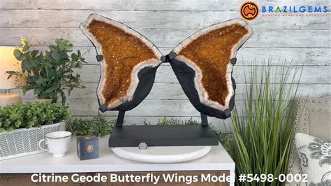 Model Citrine Geode Butterfly Wings On A Stand By