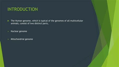 Mitochondrial Genome Ppt