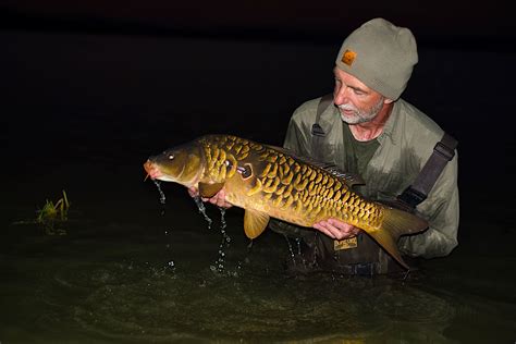 Home — American Carp Society