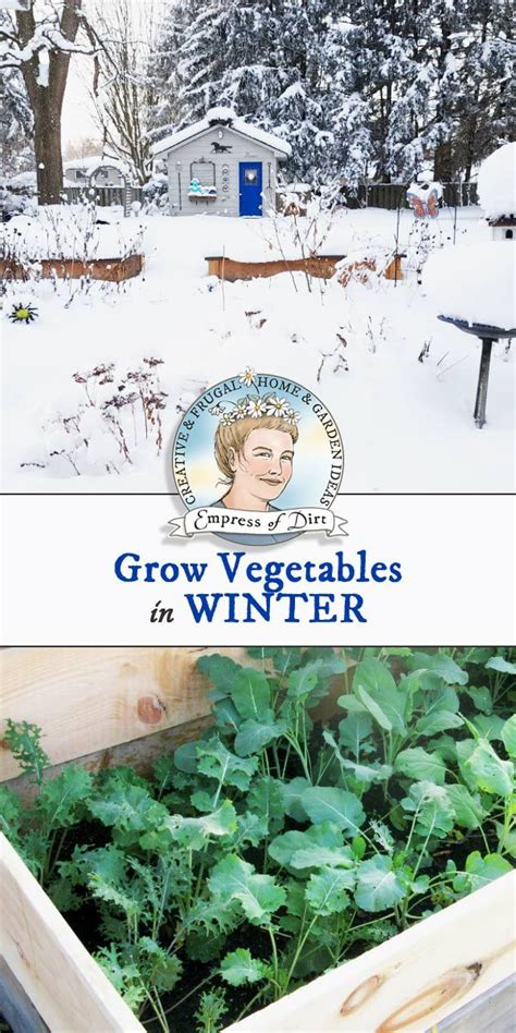 How To Grow Vegetables Outdoors In The Winter Empress Of Dirt