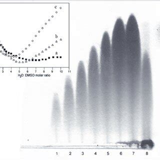 Agarose Gel Electrophoresis Of Congo Red Demonstrating The Different