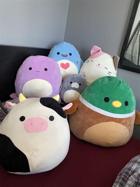 My Squishmallows Collection So Far 🥰 Squishmallow