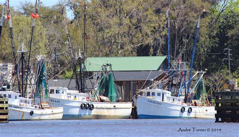 Lower Altamaha River Paddle — Georgia Conservancy