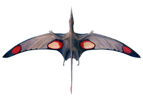 Rhamphorhynchus By Gaffamondo On Deviantart