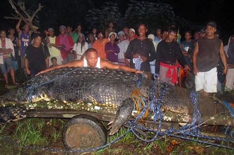 The Scoop Box: Lolong, World's Largest Crocodile Dies!