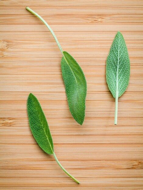 Premium Photo Close Up Of Sage Leaves On Wooden Table