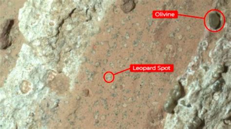 Life On Mars Nasas Perseverance Rover Finds First Possible Hint Of