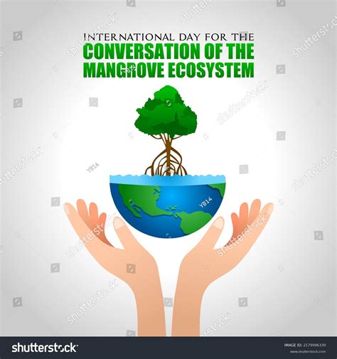 International Day Conservation Mangrove Ecosystem Vector เวกเตอร์สต็อก