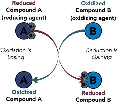 Oxidation And Reduction Know About Its Equations And Examples