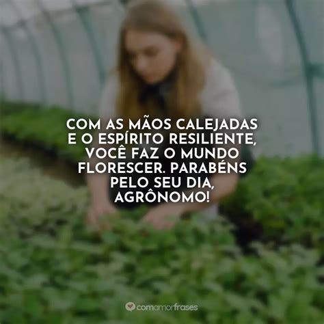 Frases do Dia do Engenheiro Agrônomo Amor Frases