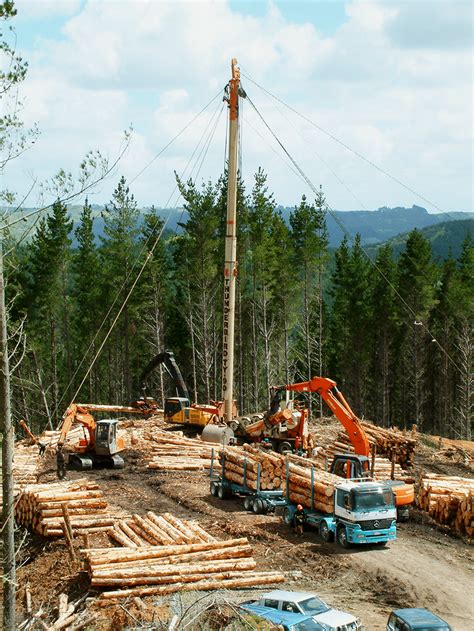 Forest Safe • Woods Logging Ltd