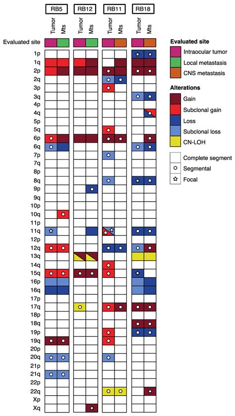 Landscape Of Somatic Alterations In Paired Primary Tumor Metastatic