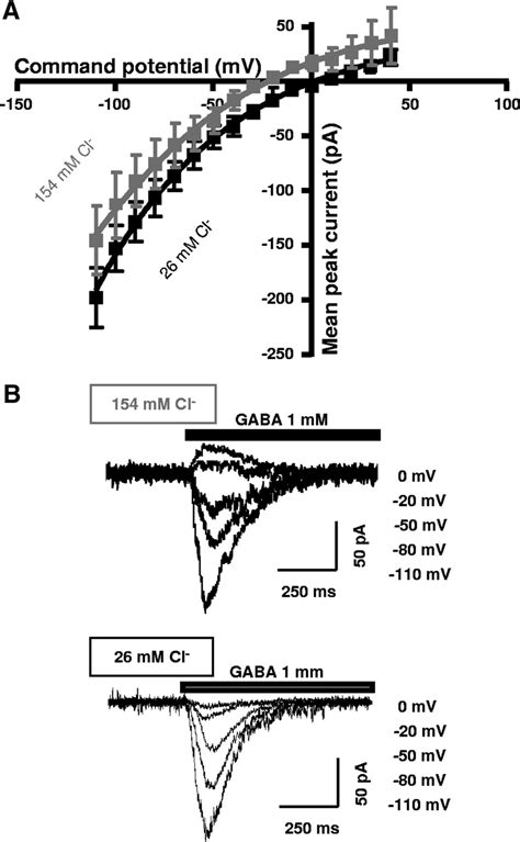 Reversal Potential Determination Of GABA Induced Currents In Saline