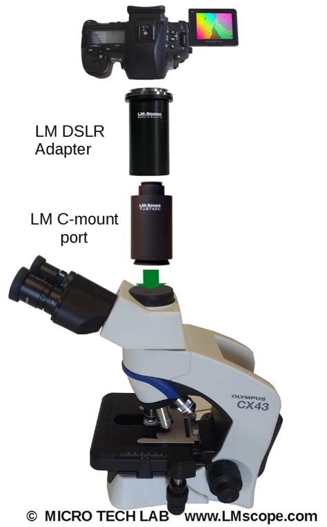 Sale Olympus Microscope With Camera Attachment In Stock