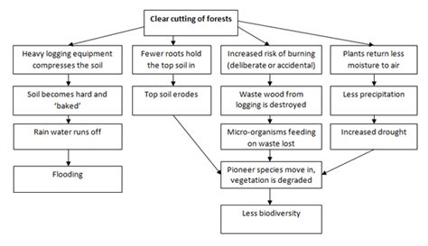 Sample Essay For Academic Ielts Writing Task 1 Topic 09 Flow Chart