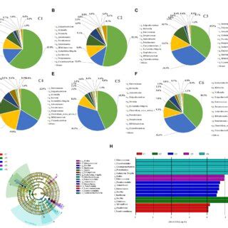 The Top Abundant Genera Of Intestinal Microorganisms Enriched In 6 Age