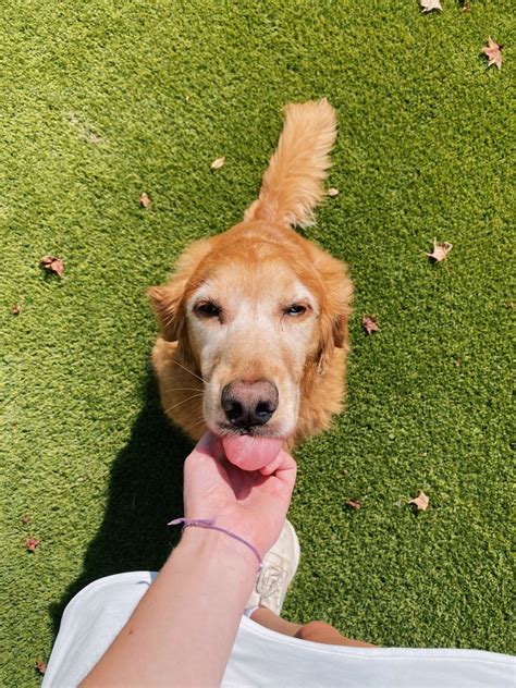 Gallery Addisonscottt Vsco