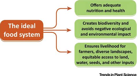 Diversifying Food Systems In The Pursuit Of Sustainable Food Production And Healthy Diets