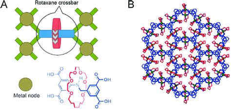 Schematic Representation Of A Polyrotaxane Metal Organic Framework A