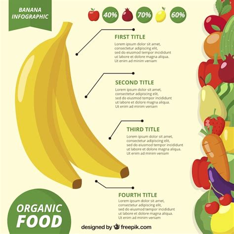 Infografía De Dieta Equilibrada Vector Premium