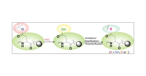 Fecl3 Mediated Side Chain Modification Of Aspartic Acid And Glutamic Acid Containing Peptides