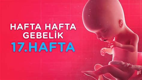 Hamilelikte 17 Hafta Hafta Hafta Gebelik İlk Adımlarım YouTube