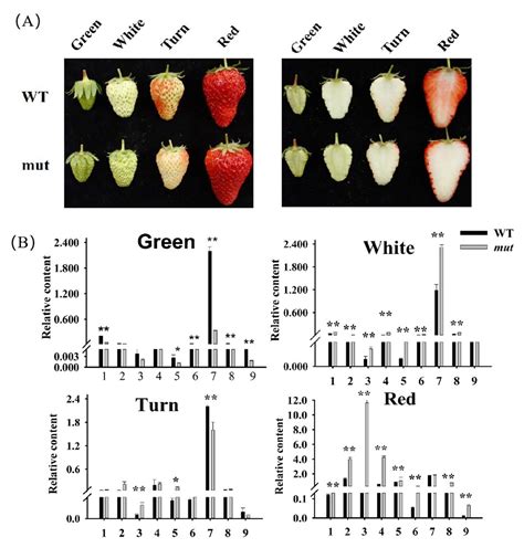 Plants Free Full Text Comparative Characterization Of Fruit